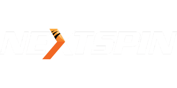 NS-COLOR Logo
